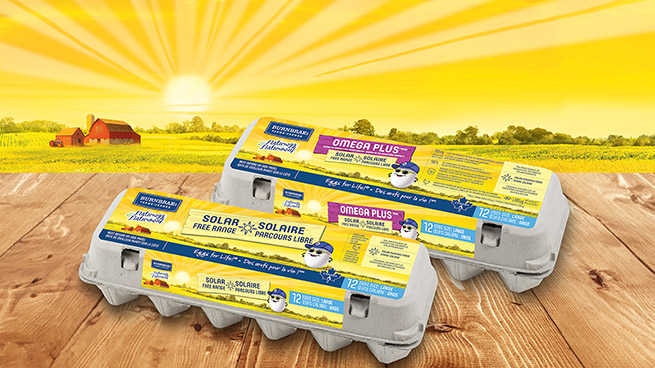 Naturegg Solar Free Range Eggs | Canadian Grocer