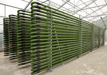 Photobioreactor