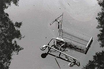 Abandoned Shopping Cart