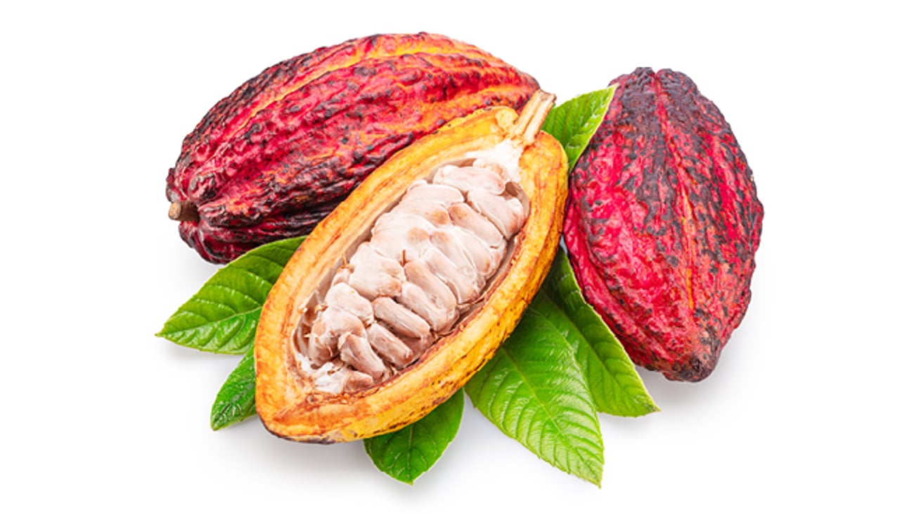 cacao