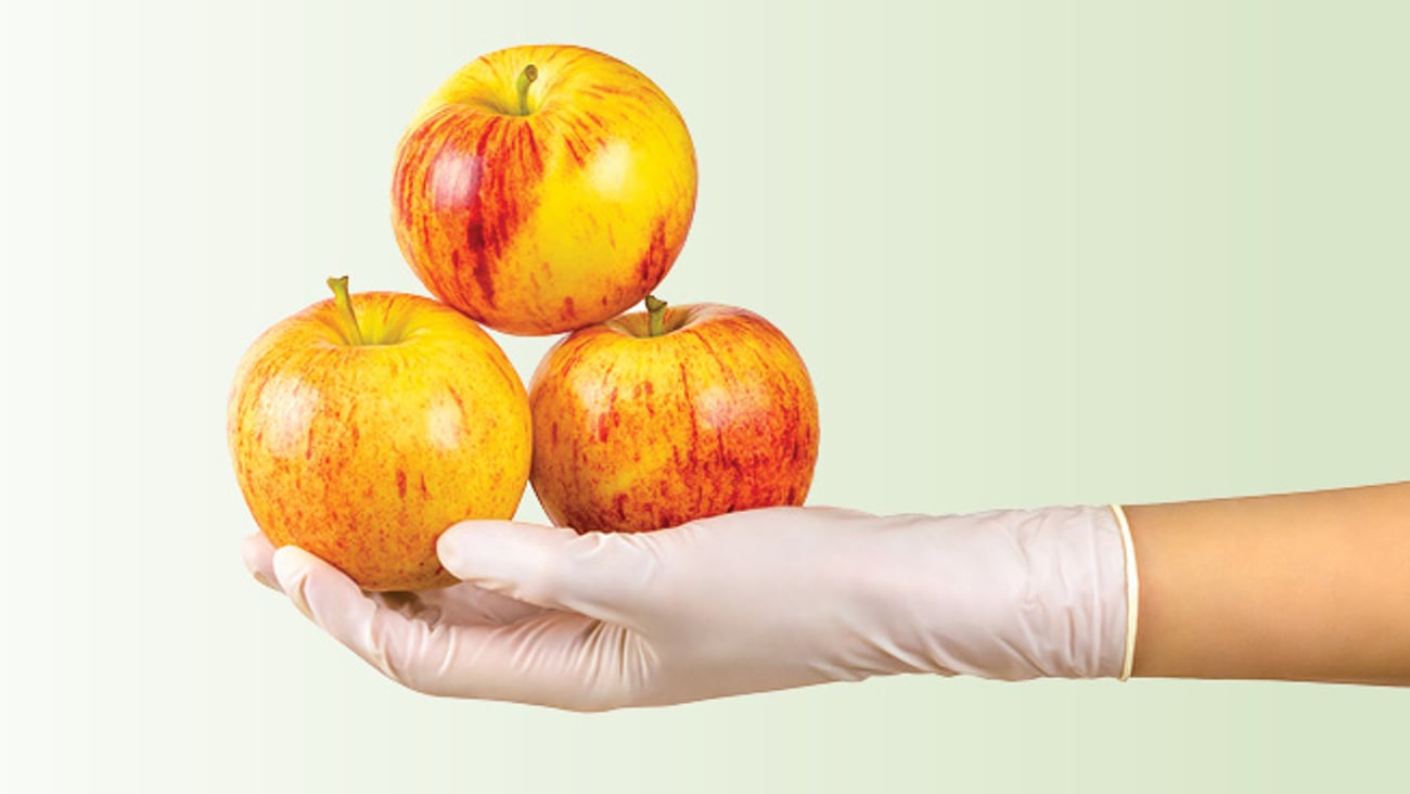 Gloved hand holding three red-yellow apples 