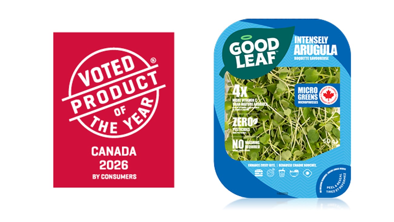 Intensely Arugula Microgreens