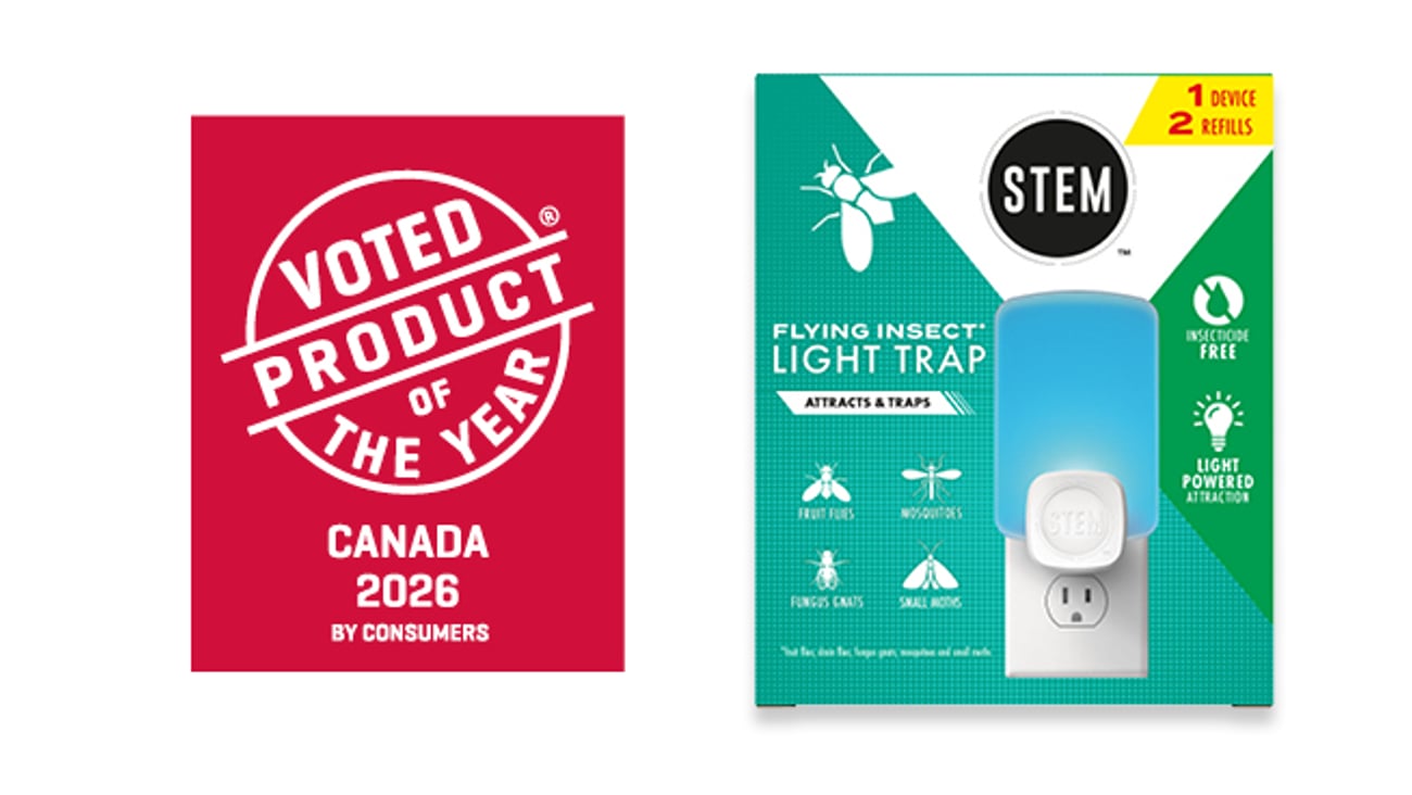 STEM Flying Insect Light Trap