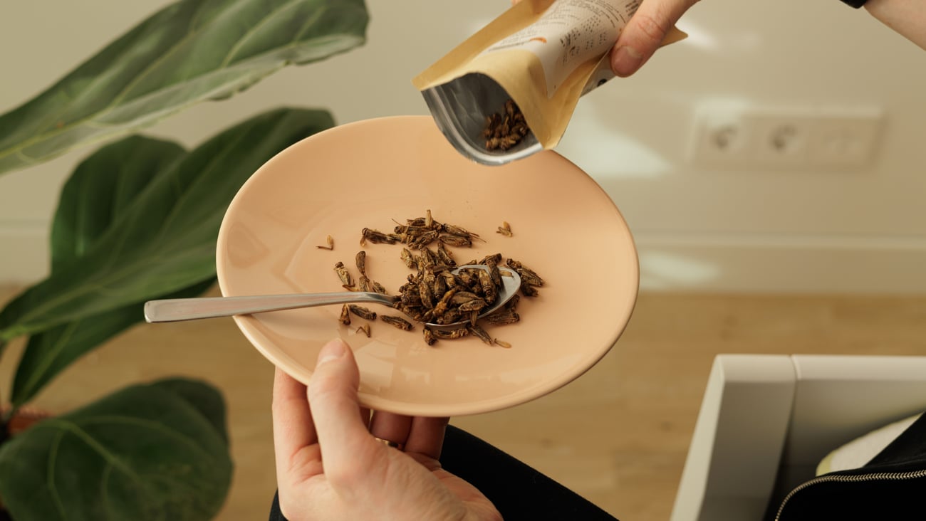 person snacking on insects