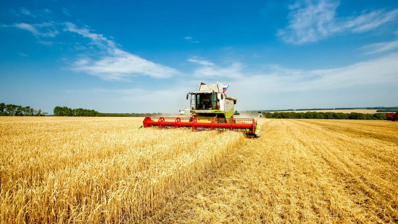 Combine harvester harvests wheat in the field. Agriculture background. Harvest season; Shutterstock ID 2188553509