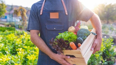 Man Farmer Holding Fresh Ripe Vegetables in Wooden Box in Garden DayLight Healthy Life Autumn Spring Harvest Concept Copy Space.