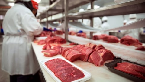 Meats of all types raw before it is packaged and shipped to stores and restaurant