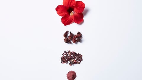 In white background, hibiscus flowers, hibiscus powder, dried hibiscus flowers, hibiscus tea.