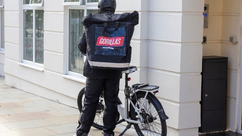 Gorillas ultra fast delivery