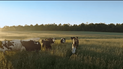 Dairy Farmers of Canada, family standing in a farm field with cows