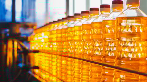 Oil in bottles. Industrial production of sunflower oil. Conveyor line for bottling and packing. Sunflower oil plant