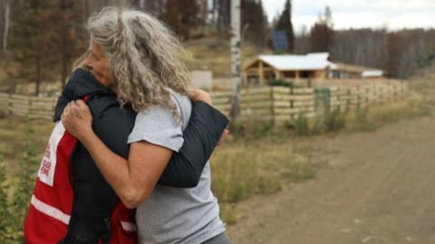 walmart red cross teaser crop