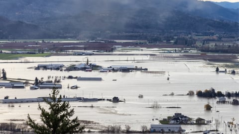 TEASER Abbotsford flooding november 2021