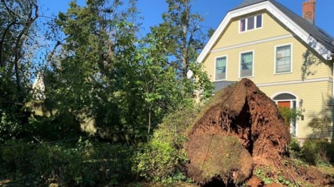 teaser pei hurricane fiona damage photo courtesy PEI gov website 