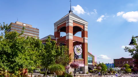 teaser london ontario