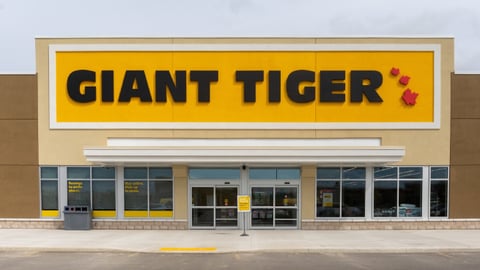 giant tiger windsor teaser