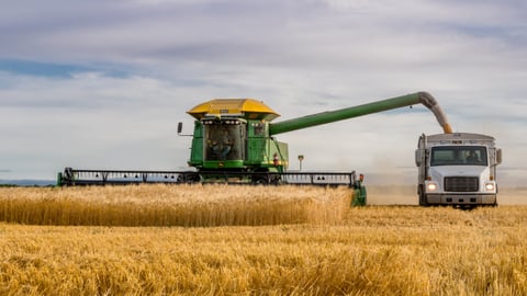 Sask wheat farm