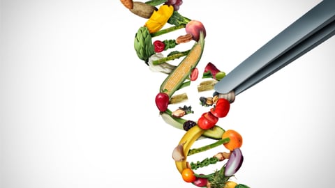 gene editing agriculture