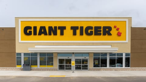 giant tiger huntsville