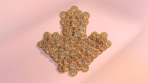Smile Cookies in the shape of a maple leaf