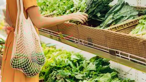 sustainability