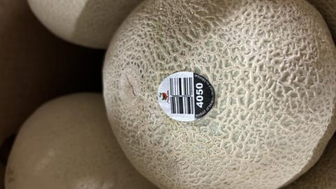 Malichita brand Cantaloupes recalled