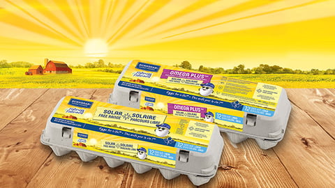 Naturegg Solar Free Range Eggs