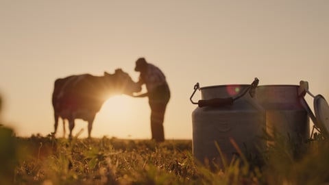 dairy farmer