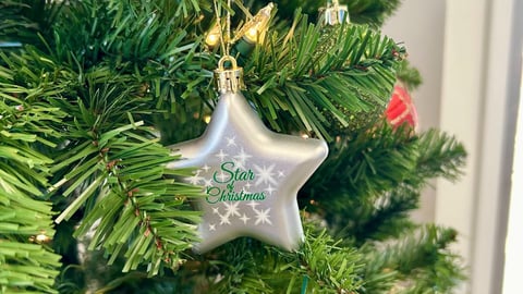 Star of Christmas ornament sobeys