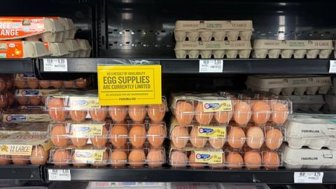 U.S. egg prices