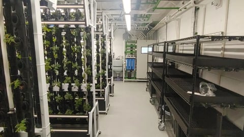 The Red Deer Food Bank's new indoor hydroponic farm. Photography courtesy NuLeaf Farms, Just Vertical and GlobalMedic