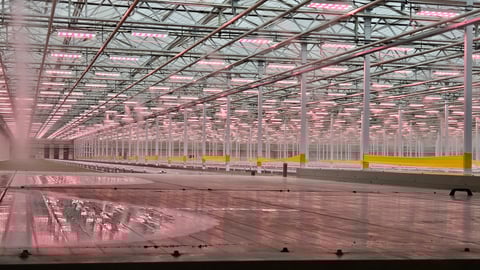 Haven Greens greenhouse Ontario