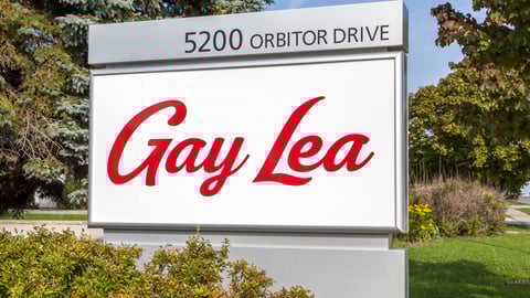 gay lea