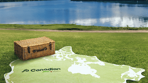 sobeys so canadian picnic