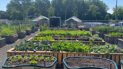 nature's path gardens for good 2025