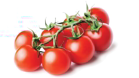 organic tomatoes