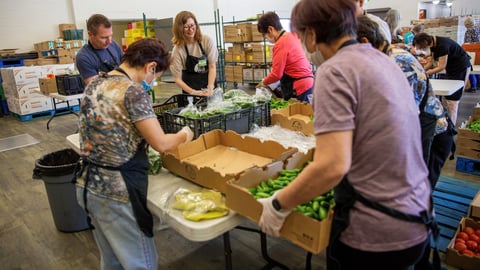 Volunteers packing boxes with food