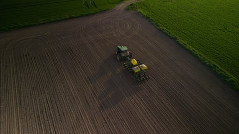 Tractor in a field 