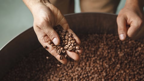 Hands sifting through coffee beans 
