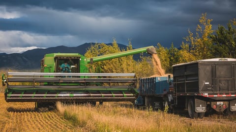 Yukon farmer harvesting grain