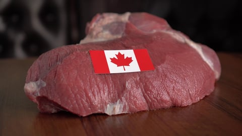 Beef Canada