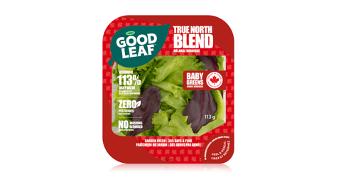 Pack of GoodLeaf True North Blend