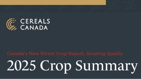 Cereals Canada New Wheat Crop Report 2025 teaser sized image