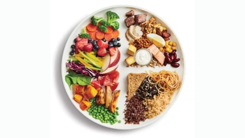 A plate of food organized into section by food group 