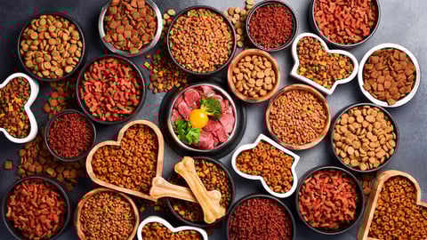 An assortment of pet food