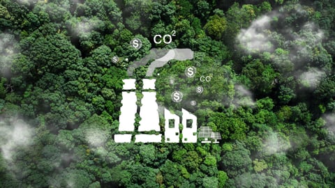 Eco-friendly industry concept.carbon credit and carbon tax.Industry icon on the top view of the forest.Net zero greenhouse gas emissions target. Reducing carbon footprint and renewable energy.