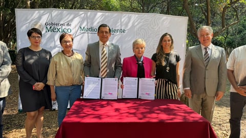 Avocados From Mexico Signs Key Step Against Deforestation with New “Zero Deforestation Agreement”