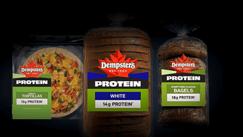 dempsters protein
