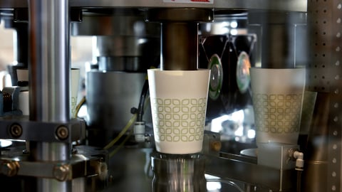 Eco Guardian compostable Guardian Green PLA lined Cup, made in Canada. Photography courtesy Eco Guardian Inc.