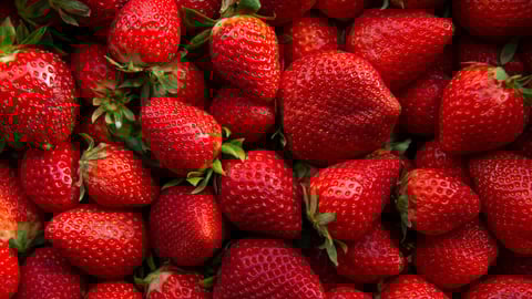 Red ripe strawberries background. Close up, top view.; Shutterstock ID 1725200269